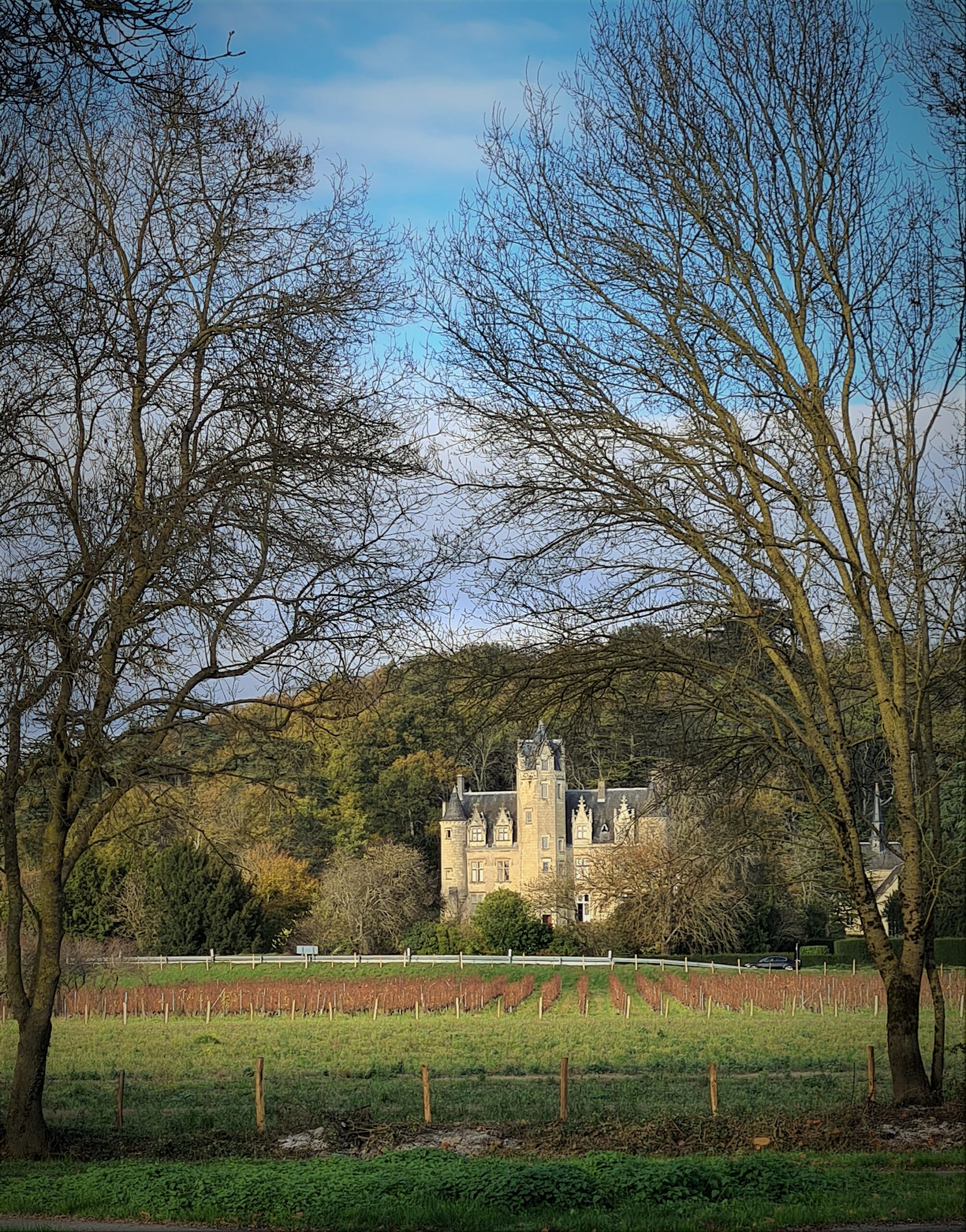 Château de Coulaine